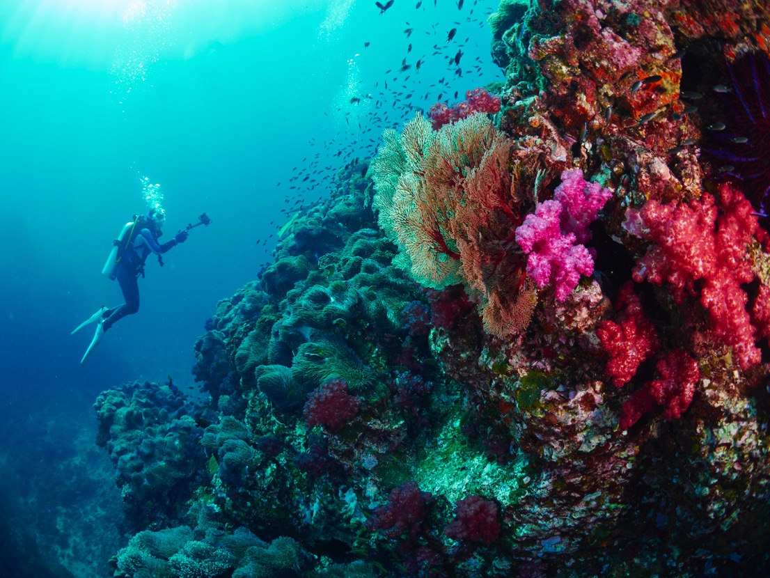 Snorkelling